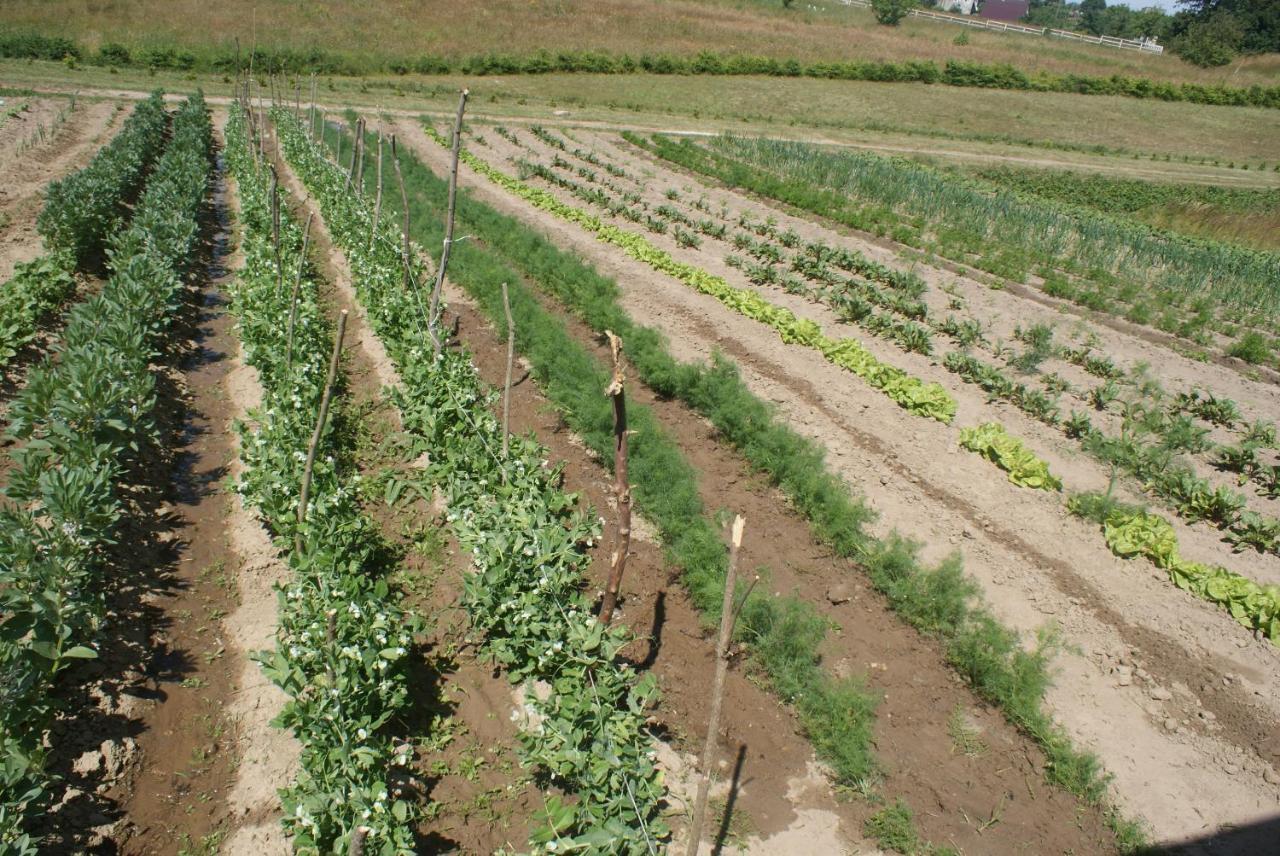 Agrodomki Okej-bialy Dom Holiday home