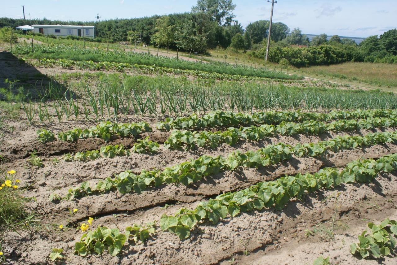 Agrodomki Okej-bialy Dom